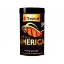 SOFT LINE AMERICA GRANULES M 250 ML