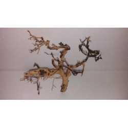ARBOL PRADERA