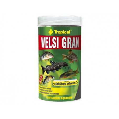 WELSI GRAN
