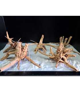 RAÍCES NATURALES RED MOOR