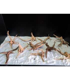 RAÍCES NATURALES RED MOOR