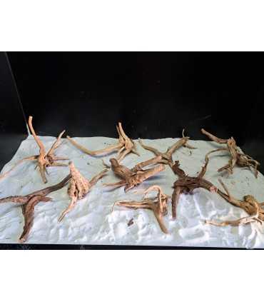 RAÍCES NATURALES RED MOOR