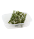 FISSIDENS FONTANUS (PHOENIX MOSS) PORCION 4x4cm