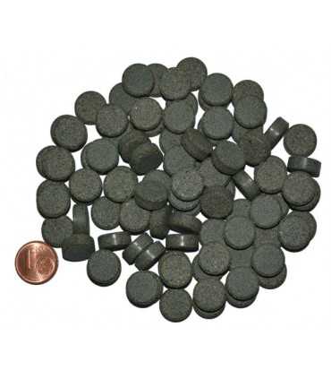 PASTILLA FONDO ESPIRULINA 100 ML
