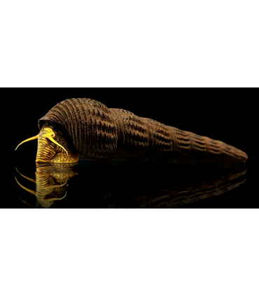 CARACOL CONEJO NARANJA