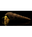 CARACOL CONEJO NARANJA