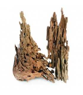 MADERA DRAGON WOOD talla M