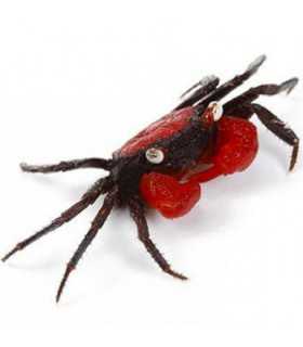 CANGREJO RED DEVIL - GEOSESARMA HAGEN (UND)
