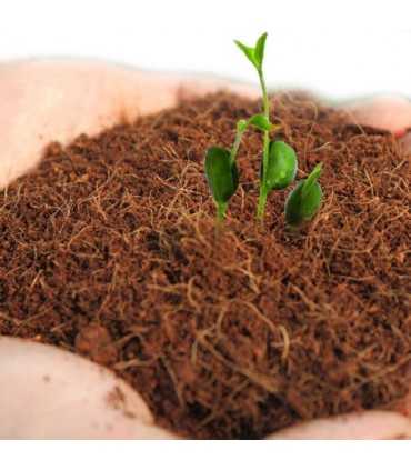 KOMODO TROPICAL TERRAIN BRICK M - SUSTRATO DE FIBRA DE COCO 4l