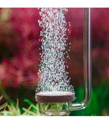 AQUARIO NEO DIFFUSER CURVED SPECIAL M