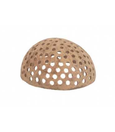 Copa de campana perforada | Aegle marmelos