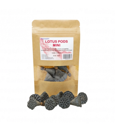 CAPSULAS DE LOTO SHRIMP GARDEN MINI 10 piezas - NELUMBO NUCIFERA