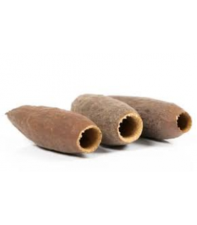 CAPSULA DE JECETIBA - CARINIANA LEGALIS BOTANICO