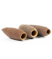 CAPSULA DE JECETIBA - CARINIANA LEGALIS BOTANICO