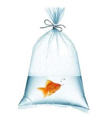 BOLSA POLIETILENO P 15x50 CM (100 unidades)