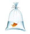 BOLSA POLIETILENO P 15x50 CM (100 unidades)