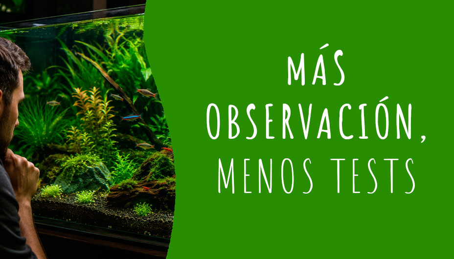 leer acuarios sin tests