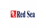 red sea