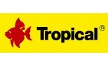 TROPICAL